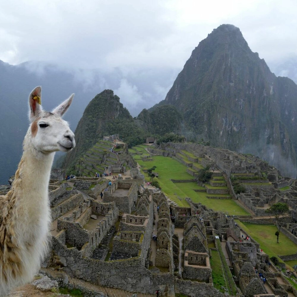 Machu Picchu Tours from Cusco