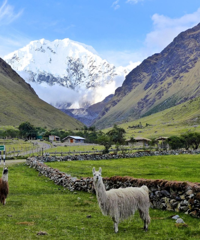 Salkantay Trek To Machu Picchu